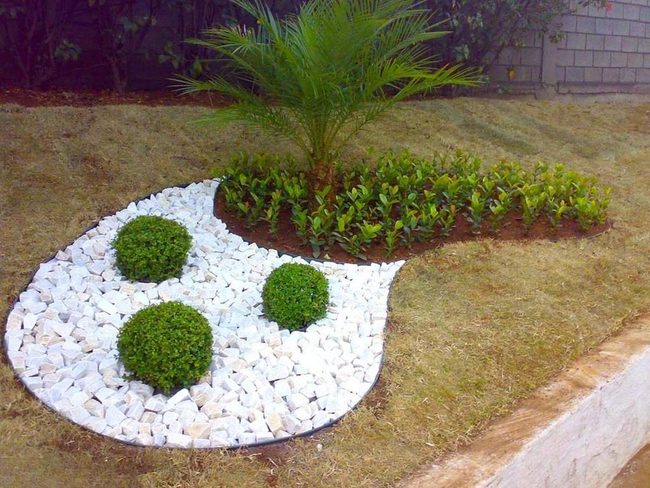 White Stones, Green Harmony, Palm