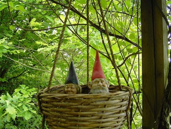 Gnomes Peeking Through Hanging Blooms