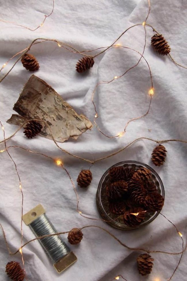 Tiny Lights Through Pinecones