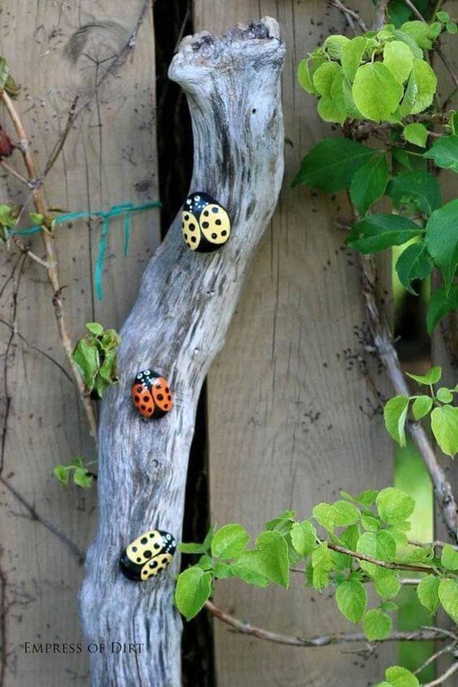 Ladybug Spotted Wooden Fence