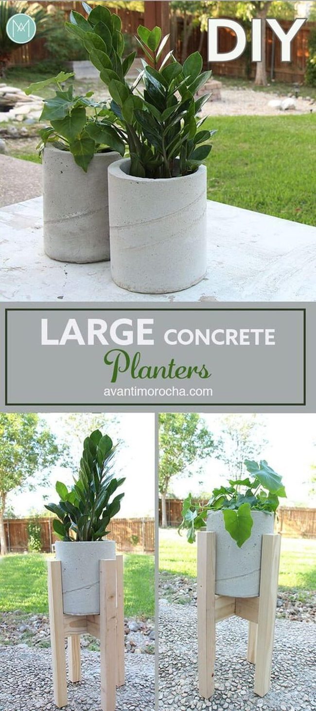 Concrete Planters Bold Statement