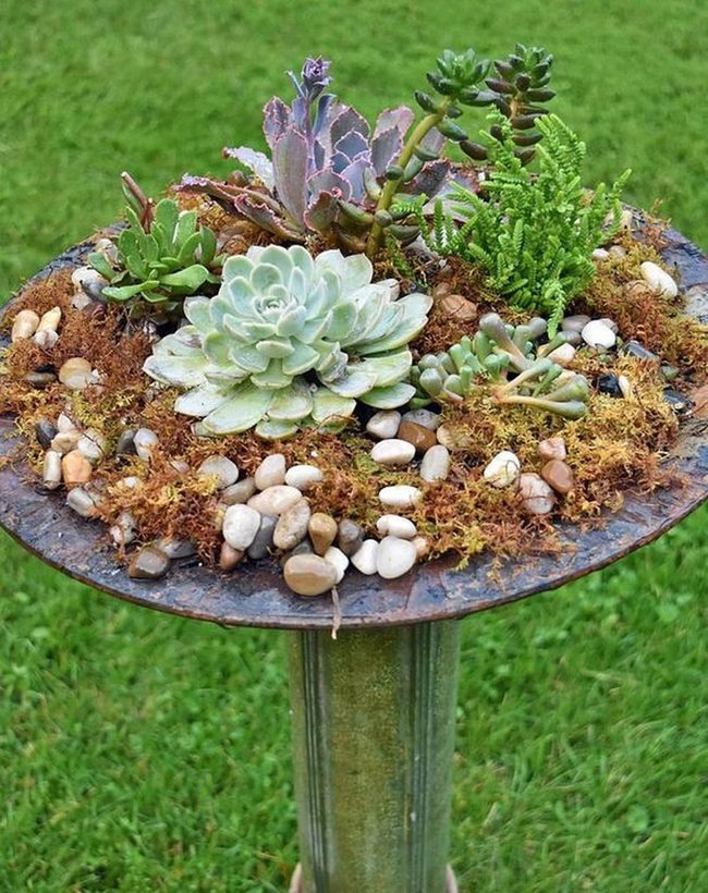 Green And Purple Succulents Metal Planter