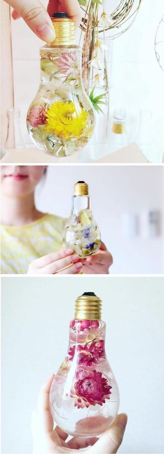 Dried Flowers Inside Antique Glass Bulbs