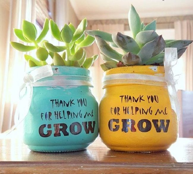 Green Plants In Ceramic Pots