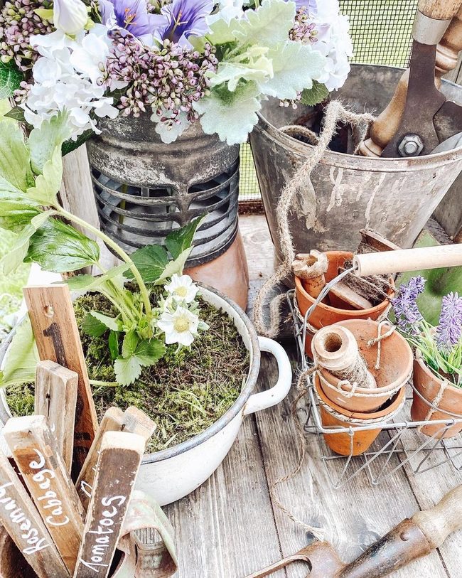 Vintage Containers Overflowing Bright Blooms