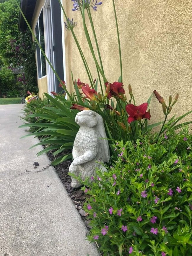 Concrete Garden Bunny Statue