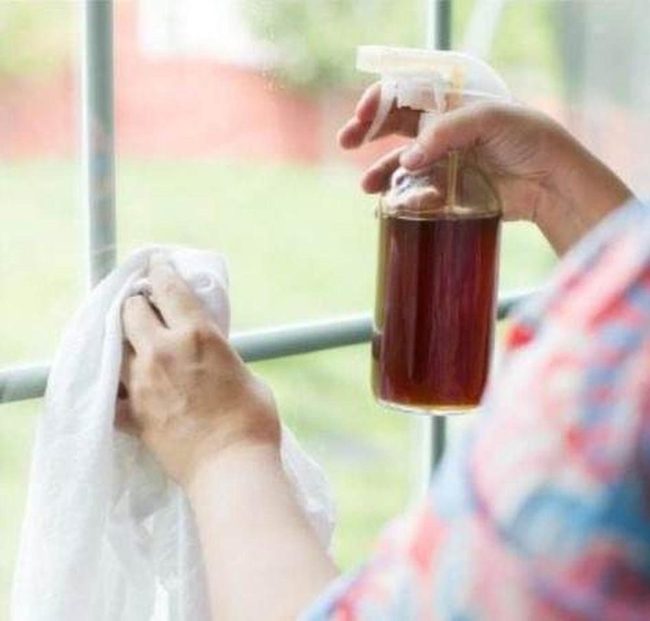 Black Tea Glass Cleaner Solution