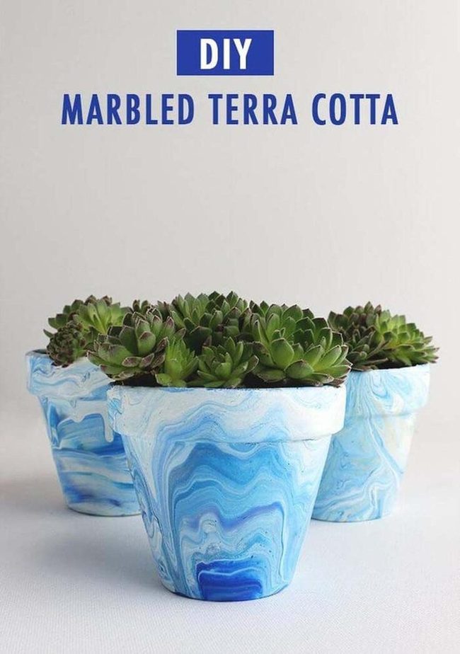 Marble Pots And Blooming Beauty