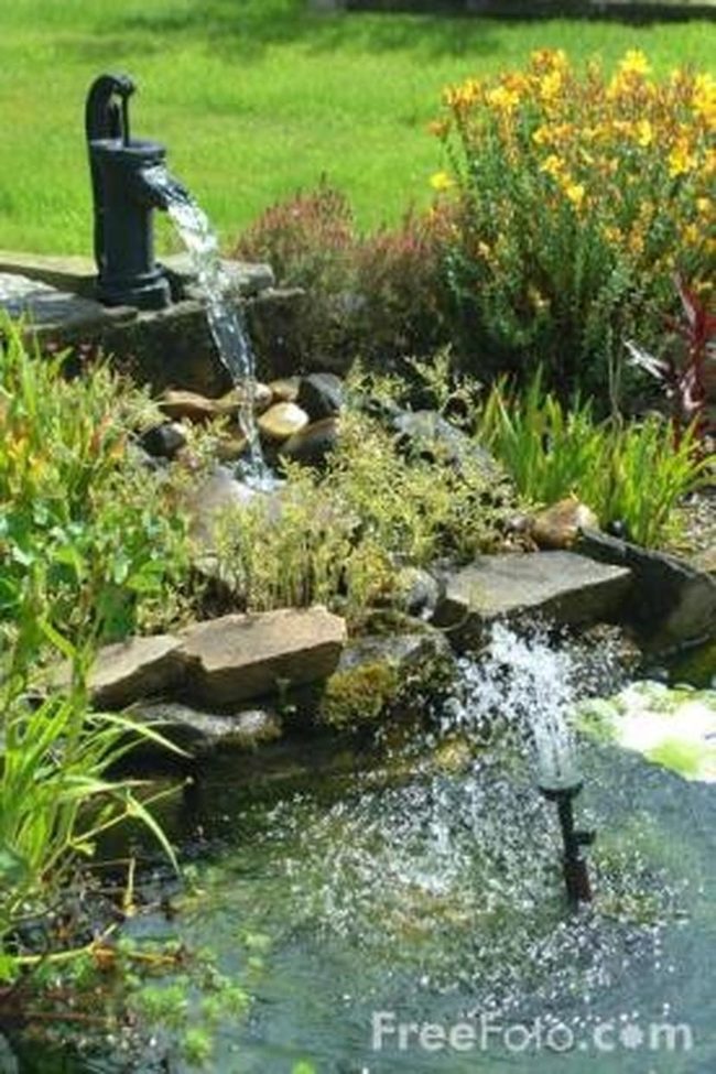 Black Pumps Among Golden Garden Waters