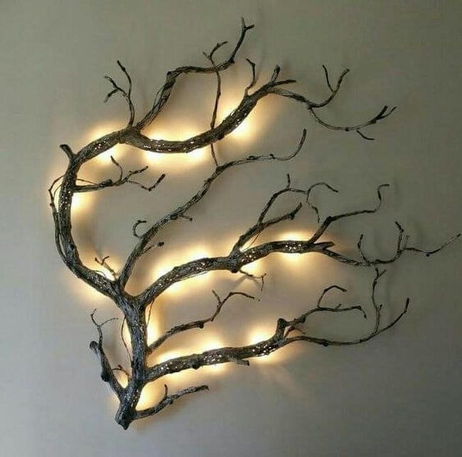 Illuminated Branches Cast Soft Shadows