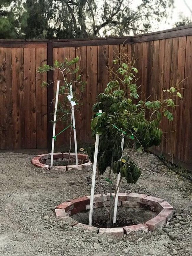 White Pvc Tree Stakes Garden Support