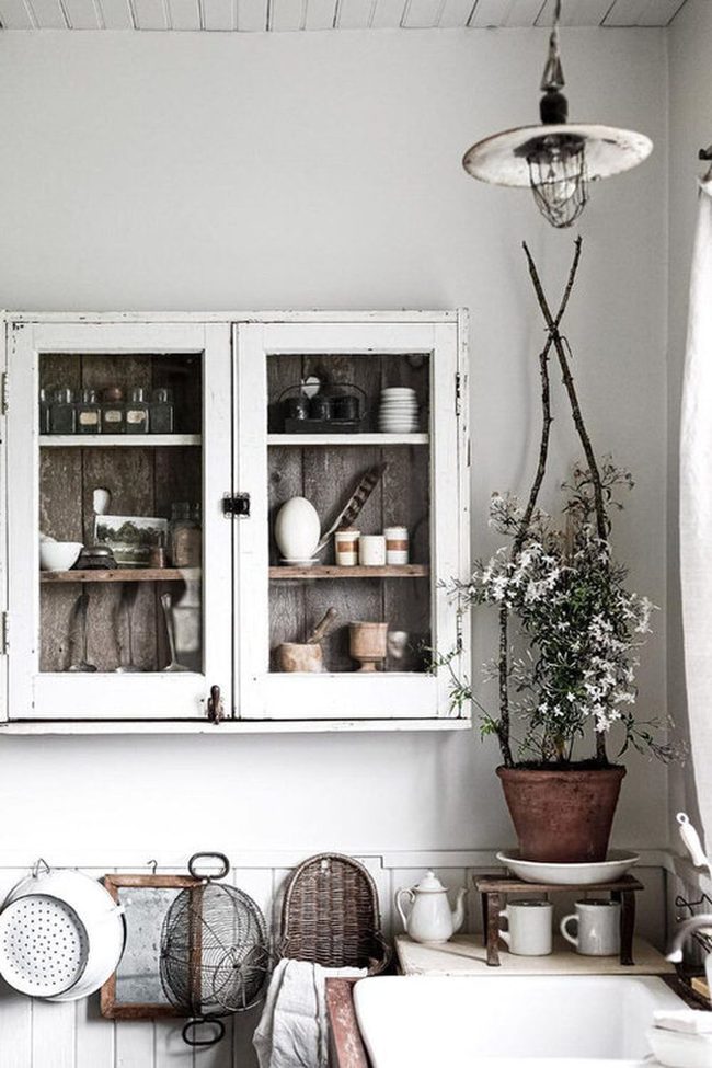 Vines Climbing Wooden Walls