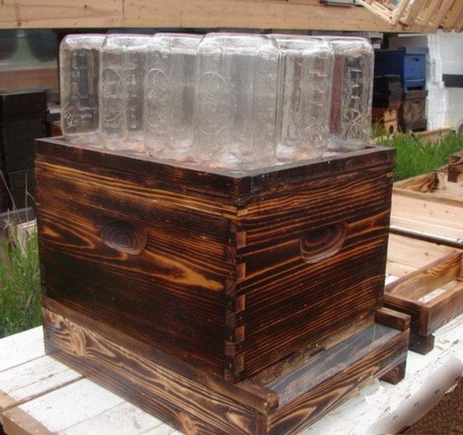 Handcrafted Wood Storage With Natural Grain
