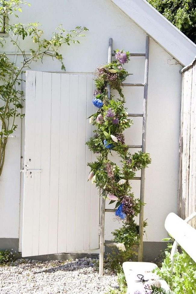 Purple Blooms On Weathered Wood