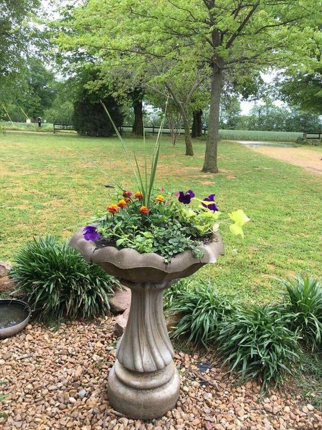 Stone Planters Flowering Garden Retreat