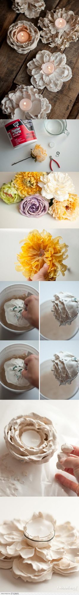 Delicate Blooms In Glass Holders