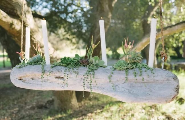 Driftwood Candelabra With Succulents