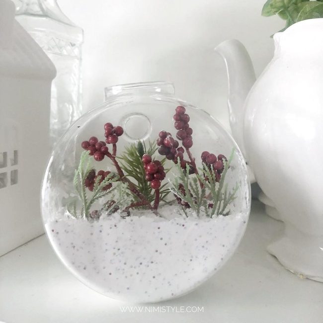 Red Berries In Glass Spheres