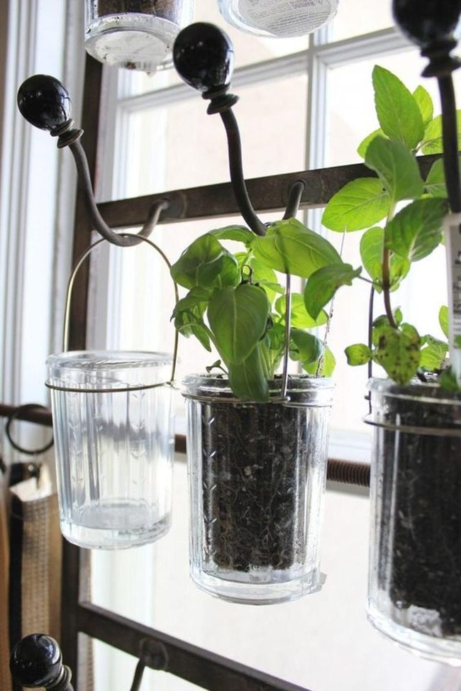 Hanging Glass Planters With Black Hooks