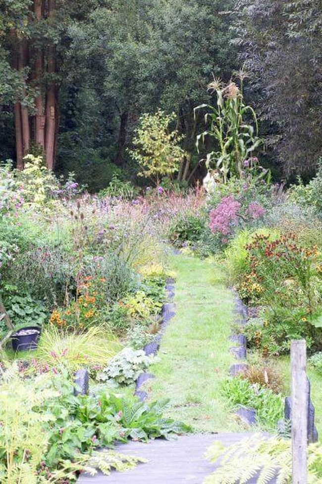 Layered Blooms Along Wooden Paths