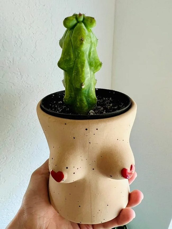 White Ceramic Body Planters