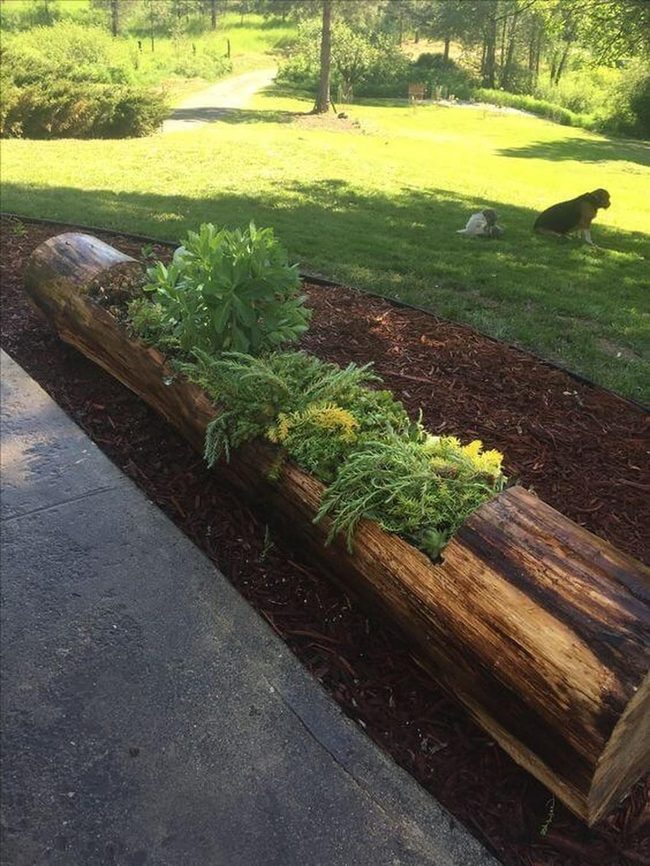 Wooden Planters Natural Garden Focal Points