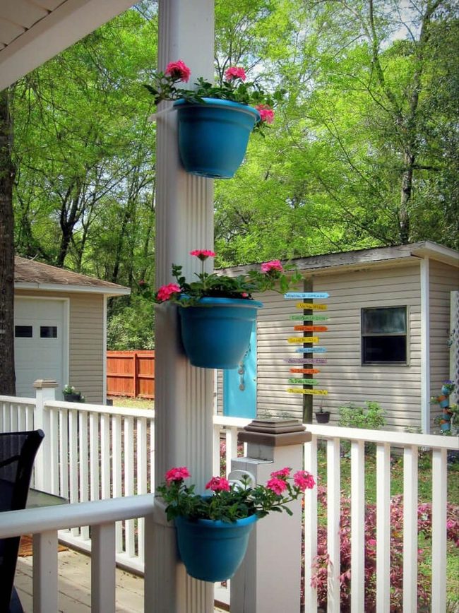 Climbing Flowers Cover Bare Walls