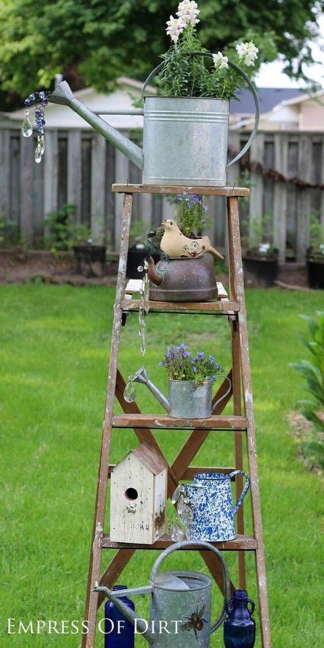 Weathered Ladder Garden Display