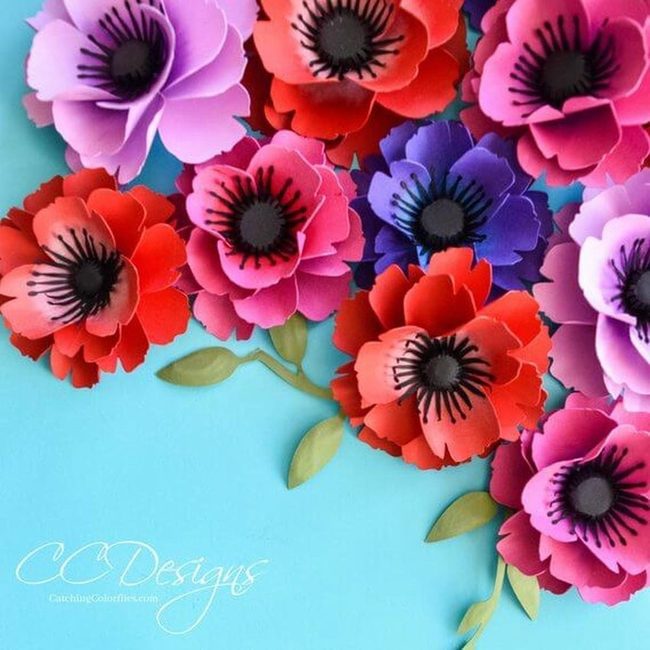 Bright Red Poppies Pop