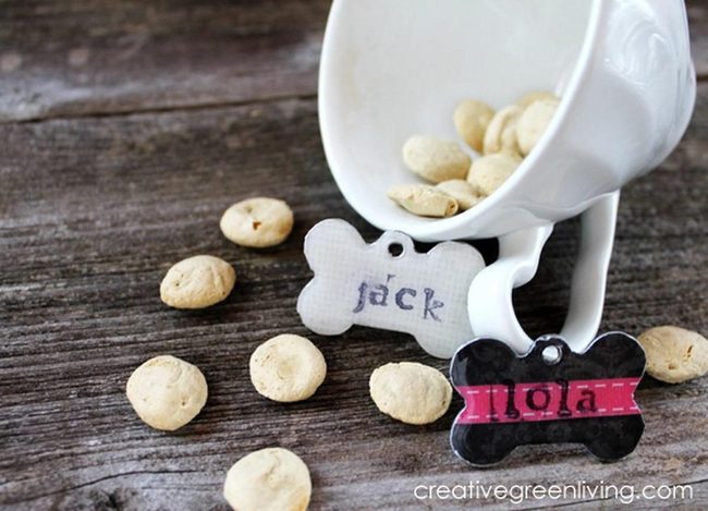 Dog Treats Spilling From White Cup