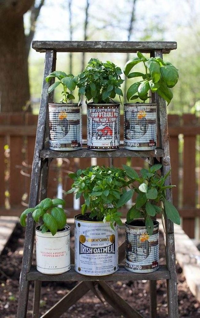 Painted Tin Cans On Wooden Ladder