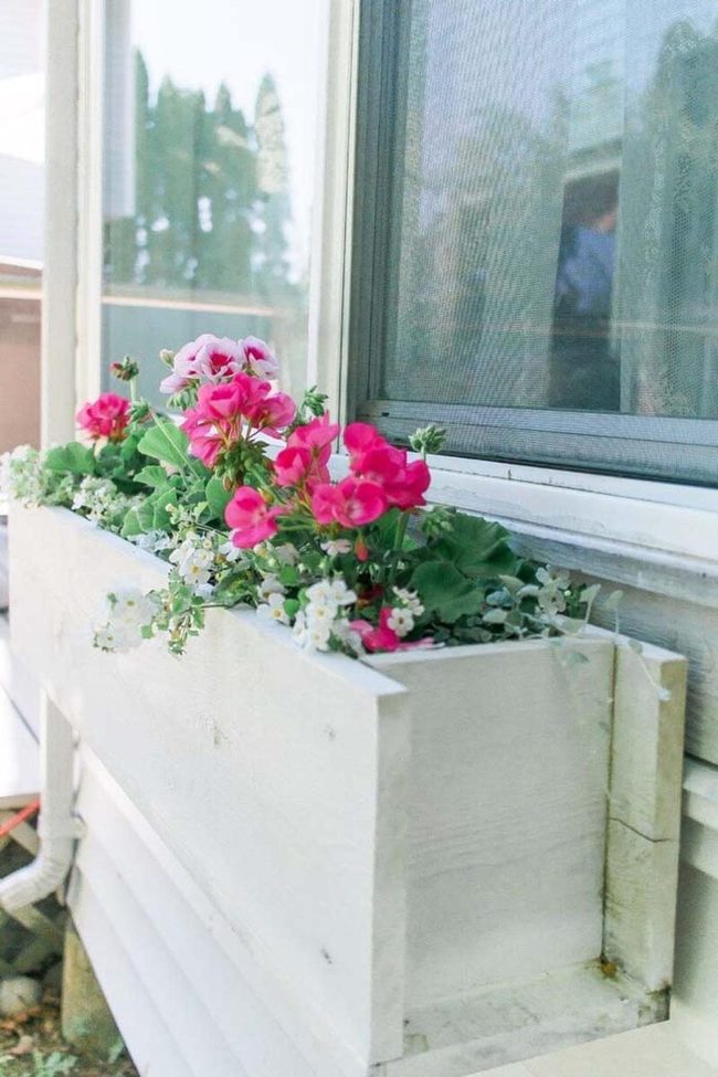 Cascading Blooms On Reclaimed Wood