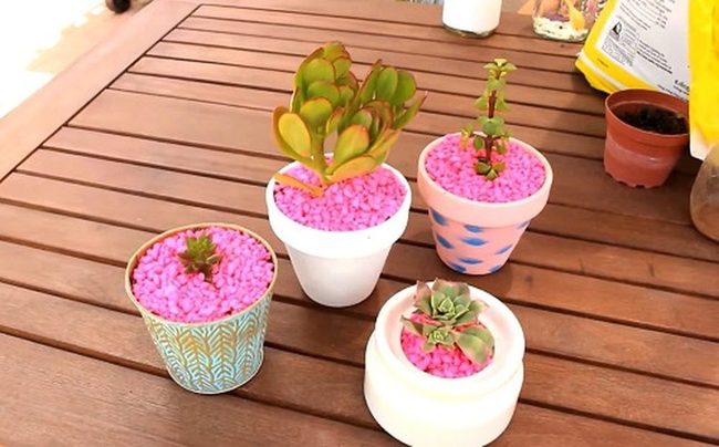 Pink Gravel Succulent Gardens