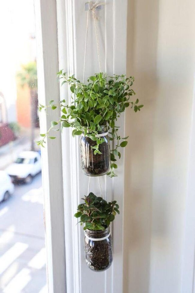 Hanging Green Jars Above
