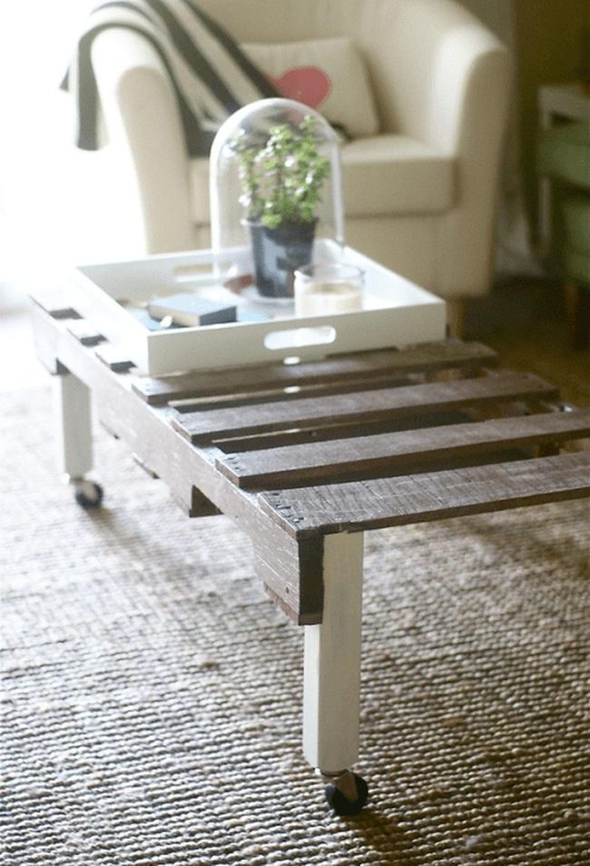 White Tray Green Plant Statement