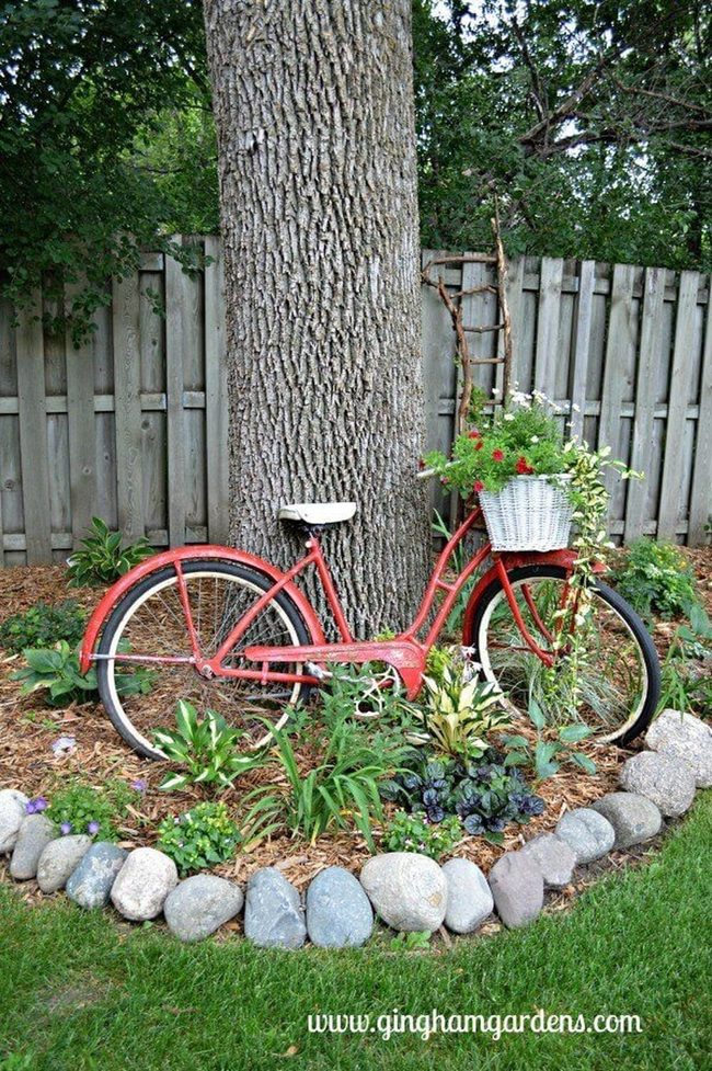 Crimson Bicycle Blooming Garden