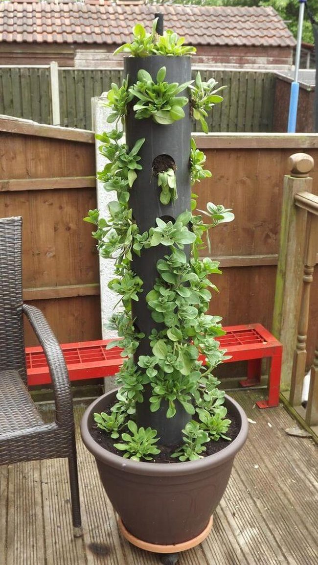 Stacked Green Tower For Tiny Spaces