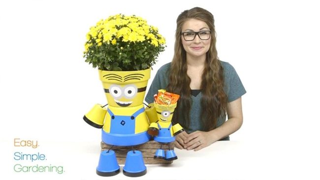 Smiling Faces Yellow Flower Planters