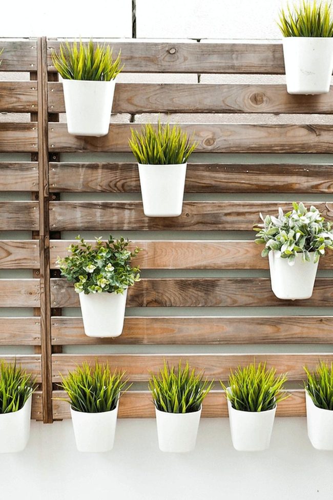 Green Wall Living Space