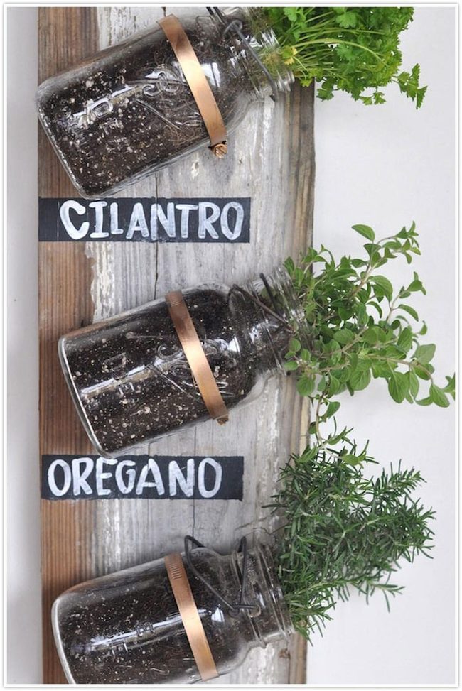Fresh Herbs In Hanging Glass
