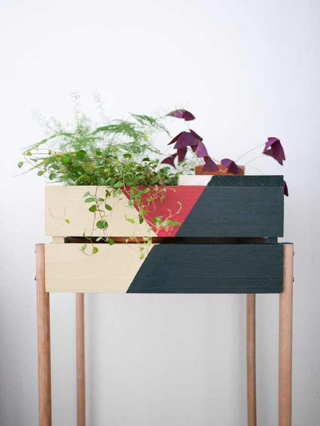 Geometric Wood Planters With Living Plants