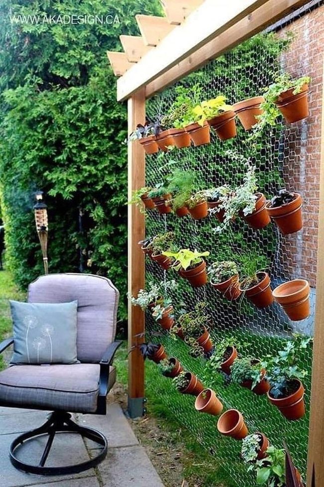 Stacked Herbs And Cascading Vines