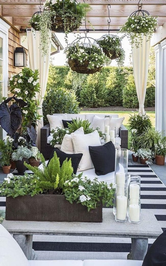Cascading Flowers Above Your Pergola