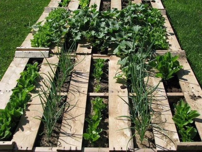 Vertical Green Wooden Pallets
