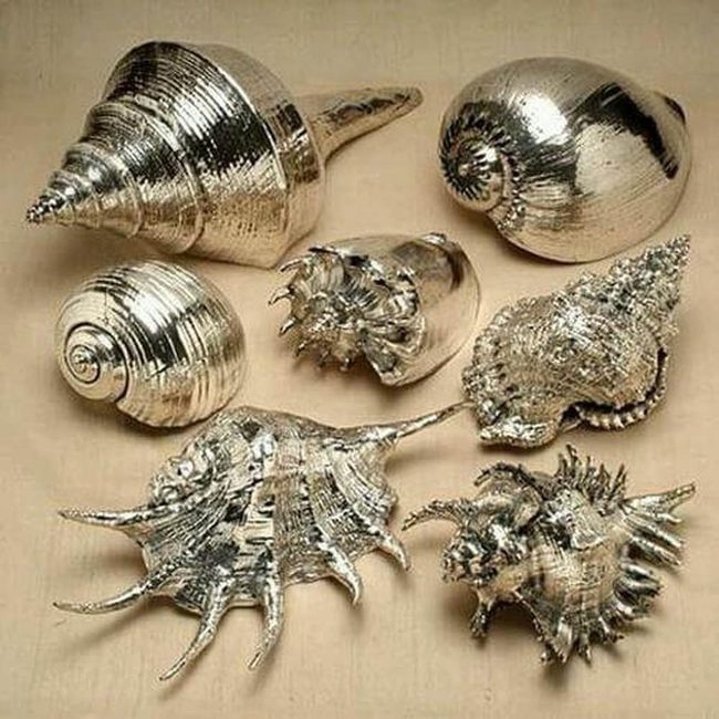Gold-Dusted Seashells For Coastal Spaces