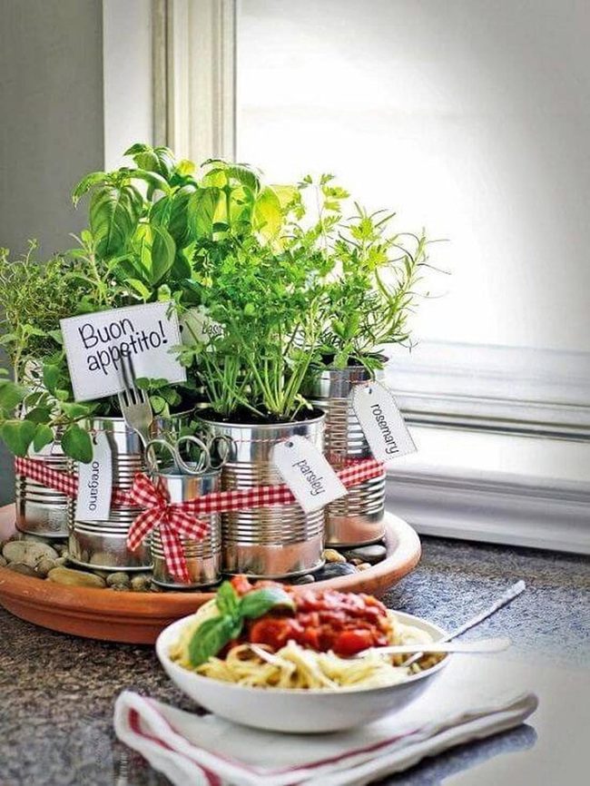 Fresh Herbs In Weathered Metal