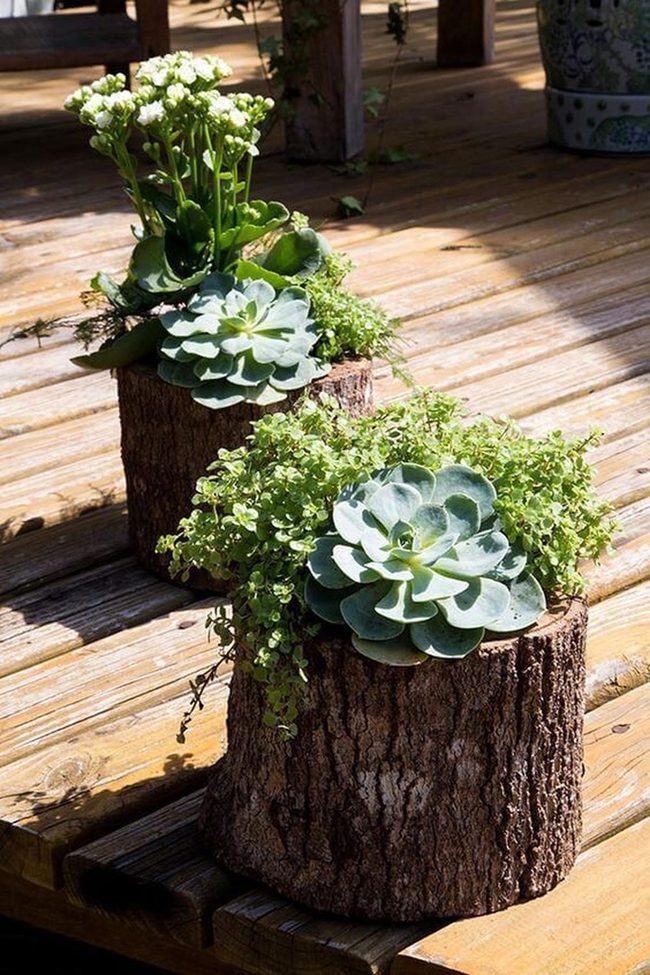 Weathered Wood Planter Elegance
