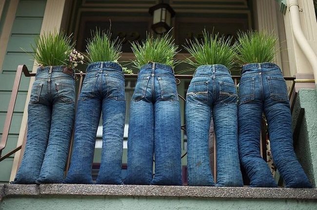 Old Jeans Turn Living Walls
