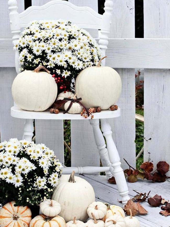 White Pumpkins Layered Heights