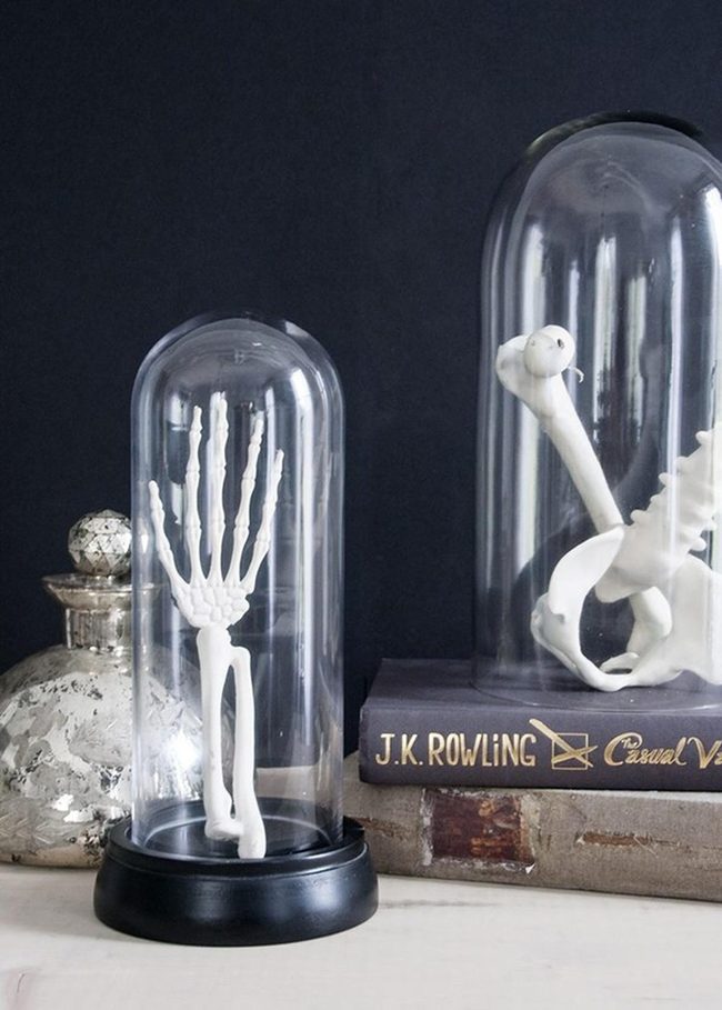 Skeleton Hand Under Glass Dome